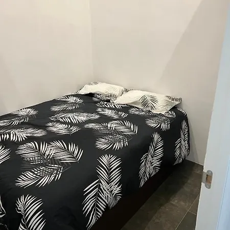 Apartment Moya *